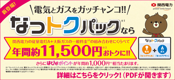 関西電力の新しいプラン「なっトクパック」 関西電力の新しいプラン「なっトクパック」